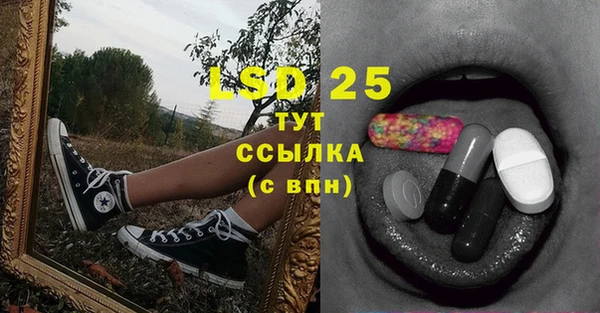 экстази Горняк