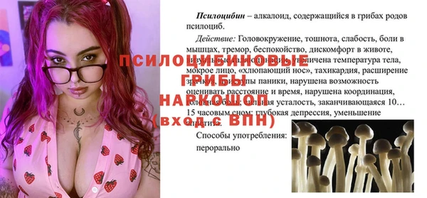 сатива Нефтегорск