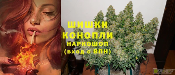 экстази Горняк