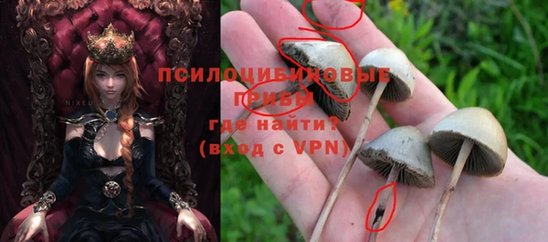 сатива Нефтегорск