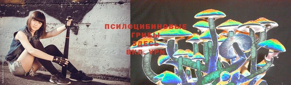 не бодяженный Горно-Алтайск