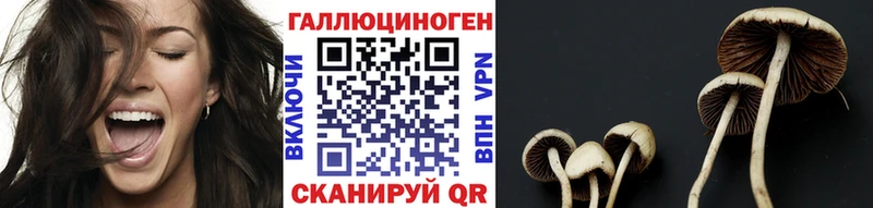 где найти   нарко площадка как зайти  Псилоцибиновые грибы мицелий  Павловск 